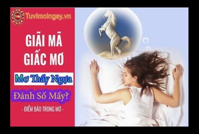 Giải Mã Giấc Mơ Thấy Con Ngựa: Ý Nghĩa Và Những Con Số May Mắn